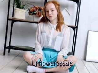 Urflowercassie