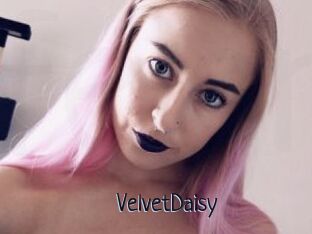 VelvetDaisy