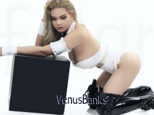 VenusBanks
