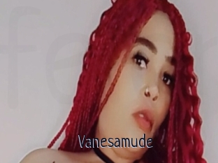 Vanesamude