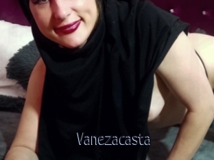 Vanezacasta