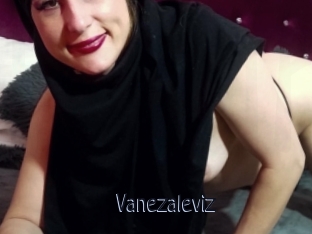 Vanezaleviz