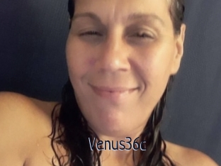 Venus36c