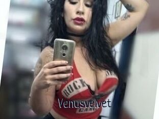 Venusvelvet