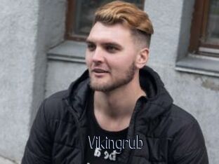 Vikingrub