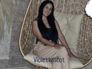 Violettascot