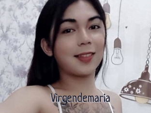 Virgendemaria