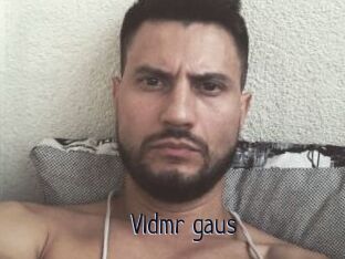 Vldmr_gaus