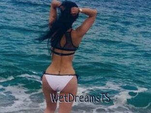 WetDreamsTS