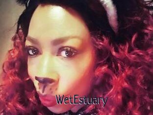WetEstuary