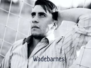 Wadebarnes