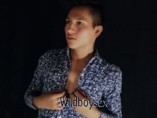 Wildboysex
