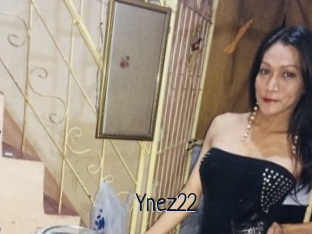 Ynez22