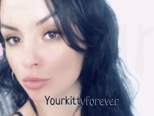 Yourkittyforever