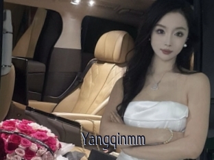 Yangqinmm