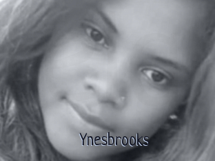 Ynesbrooks