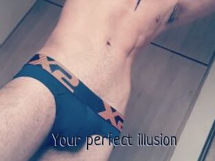 Your_perfect_illusion